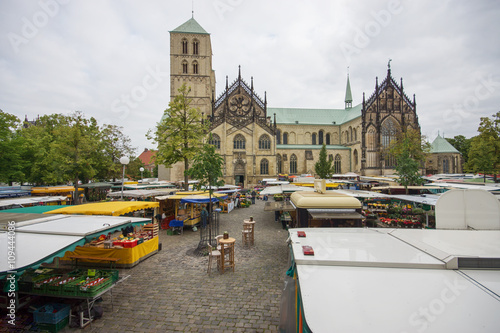 Wochenmarkt vor dem St.-Paulus-DOM in Münster, Nordrhein-Westfalen