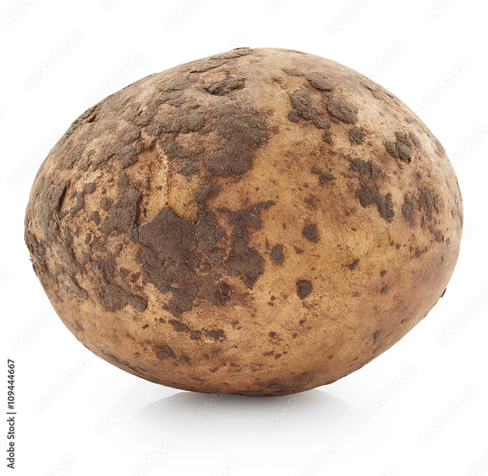 Fototapeta premium Potato