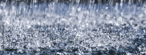 Fotografie, Obraz rain close up in detail