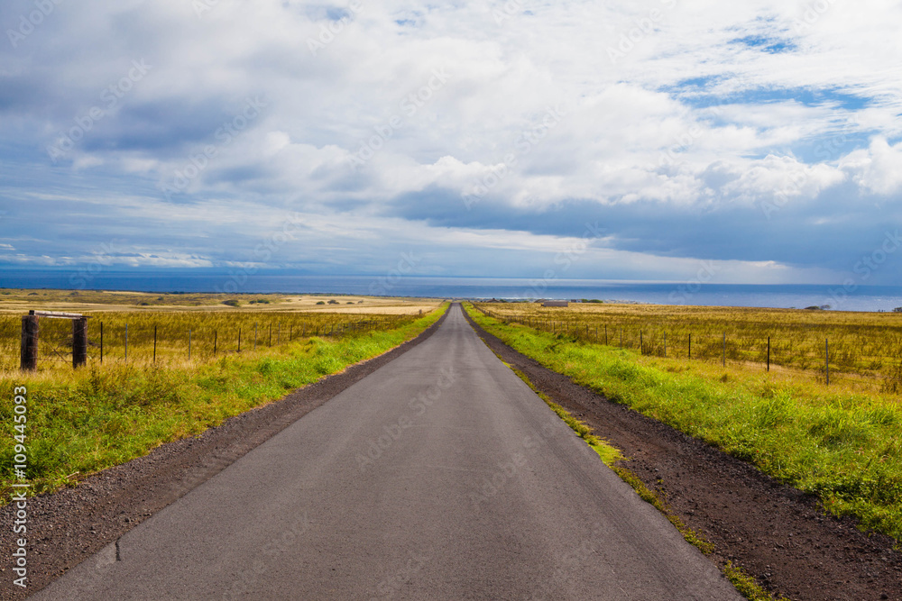 Beautiful road