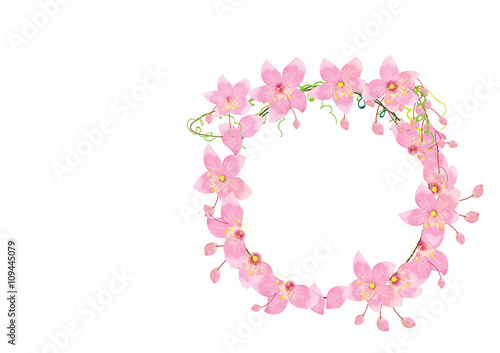 crown pink  flowers isolated on white background 
