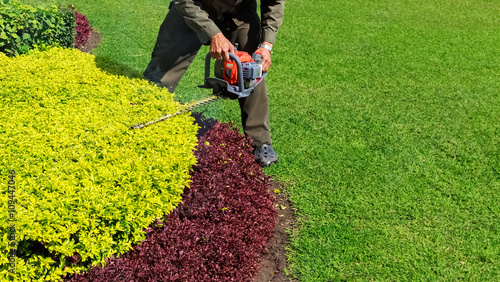 Fotografia A man trimming shrub with Hedge Trimmer, Green grass copyspace