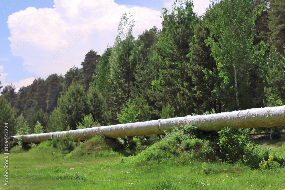 Long heating pipe line in green wild forest at summer sunny day Long heating pipe line in green wild forest at summer sunny day