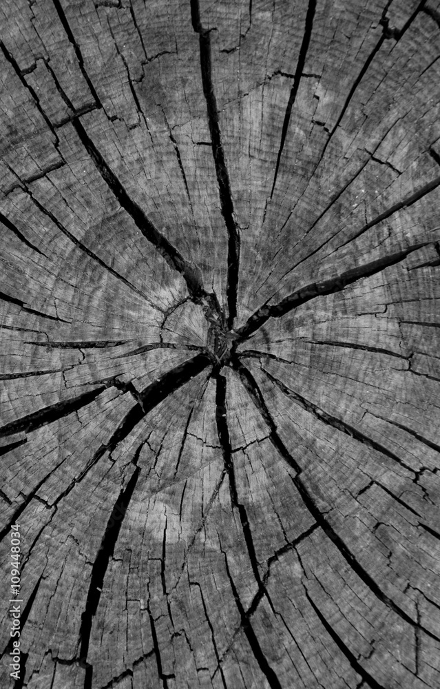 wooden board with cracked,black white picture, wallpaper