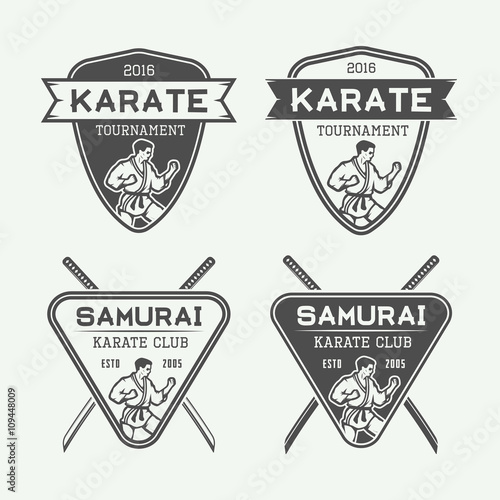 Set of vintage karate or martial arts logo, emblem, badge, label