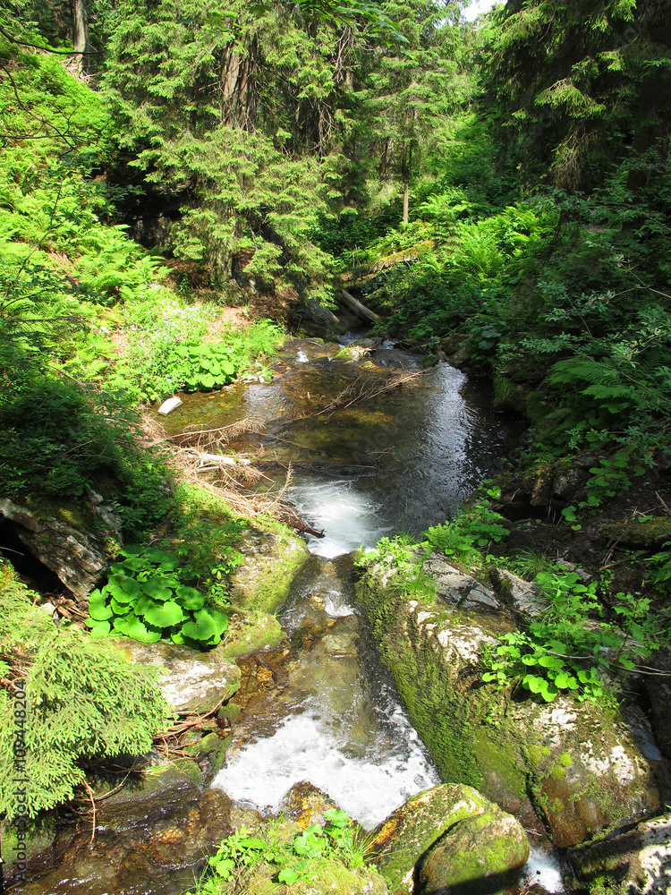 White Opava (Protected area Jesenik in Czech Republic) White Opava (Protected area Jesenik in Czech Republic)