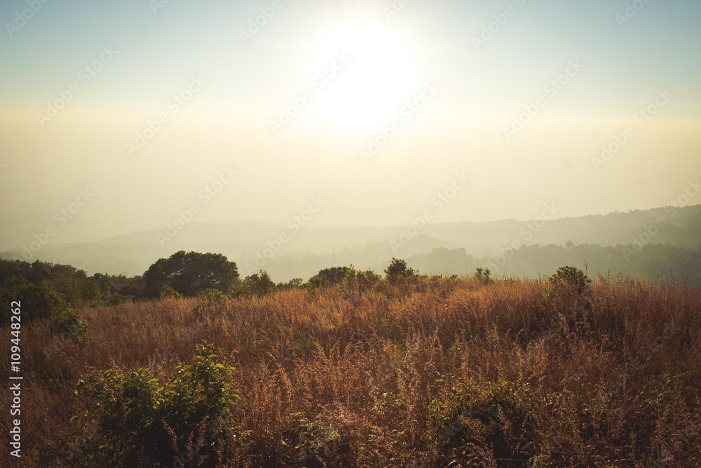 Obraz premium Mountain View