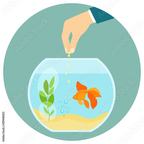 Goldfish in aquarium isolated. Feeding goldfish. Hand holding fish food. Flat vector illustration