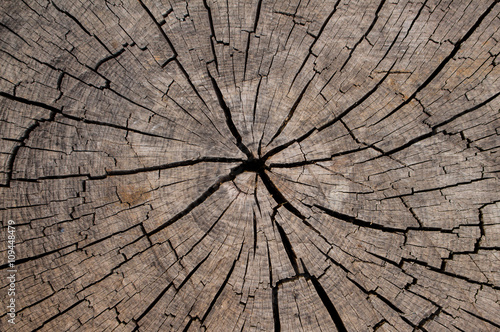 White Blank torn cardboard on the background of a wooden board with cracks