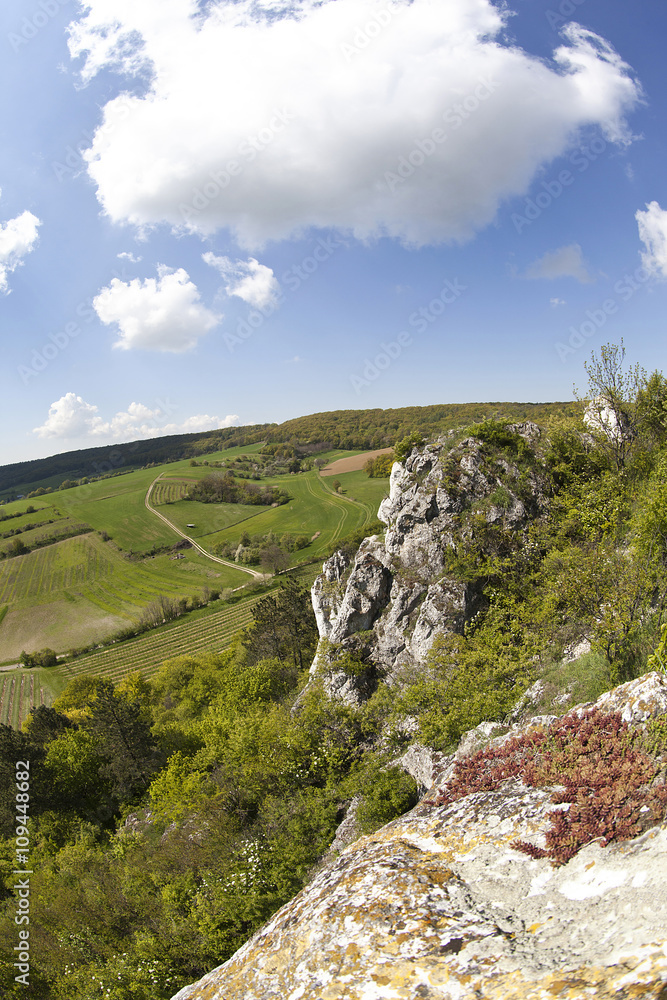 Kalkklippen im Weinviertel