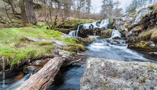 Scenic Waterfall in Forest