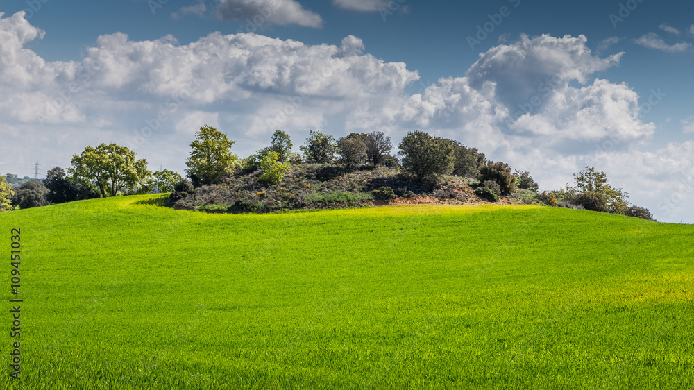 Cereal fields in spring around Nuevo Baztan, Madrid