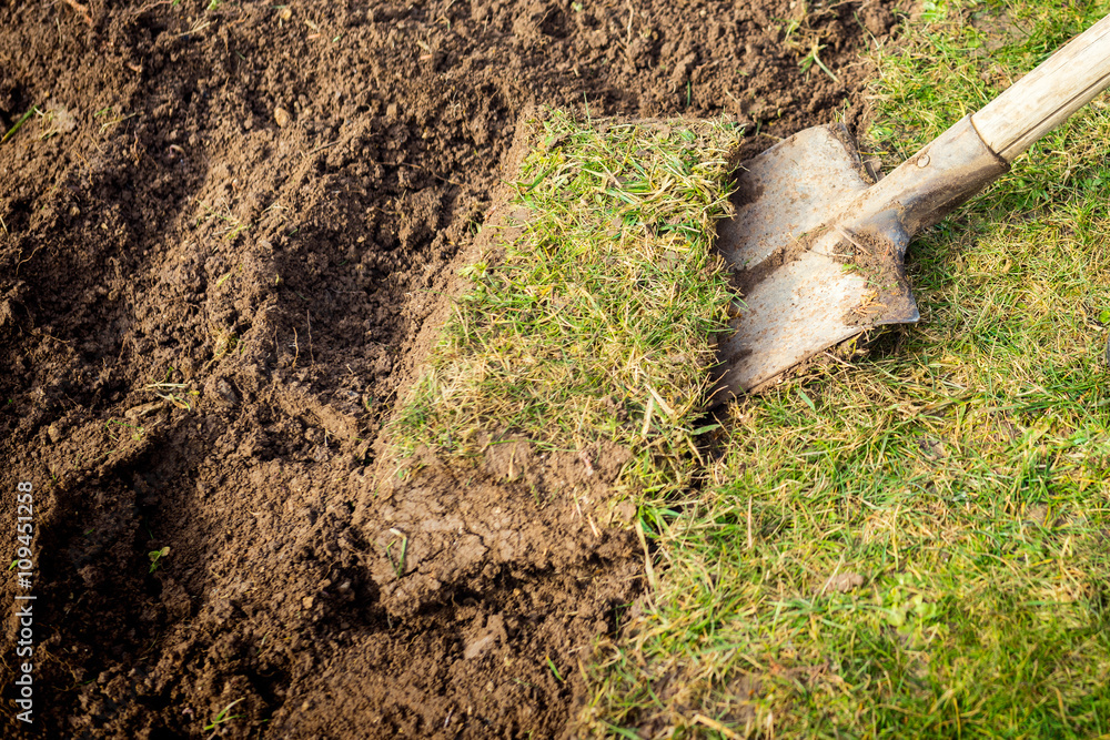 Fototapeta premium Lawn digging