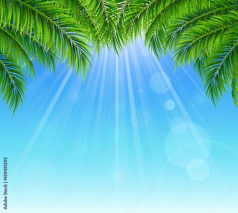 Palm leaf on blue sky with bright sun