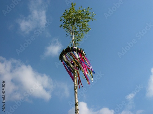 Traditioneller Maibaum aus dem Stamm der Birke mit bunten Bändern im Wind vor blauem Himmel in Asemissen bei Bielefeld am Teutoburger Wald in Ostwestfalen-Lippe photo