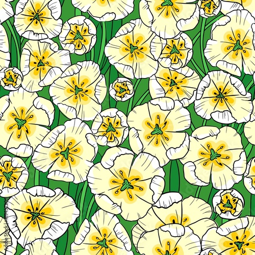 Белые тюльпаны (White tulips)