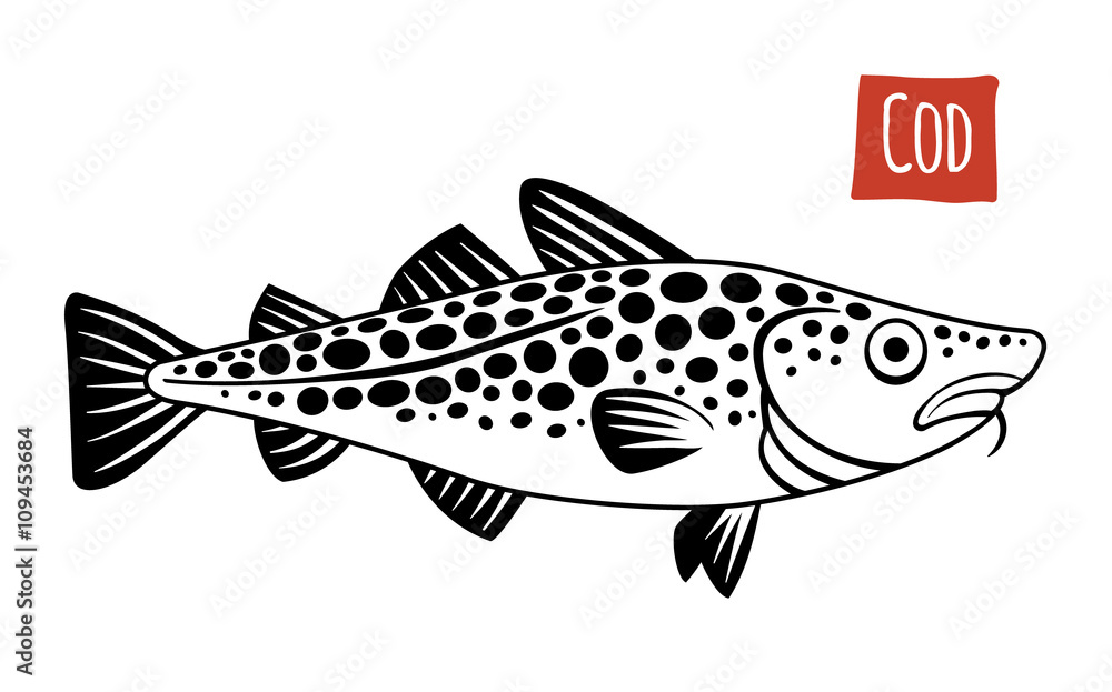 Cod, vector cartoon illustration Cod, vector cartoon illustration