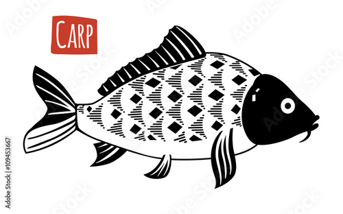 Carp, vector cartoon illustration