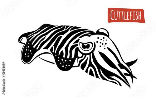 Cuttlefish, vector cartoon illustration