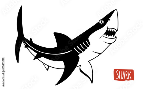Shark, vector cartoon illustration