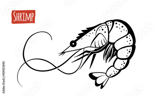 Shrimp, vector cartoon illustration