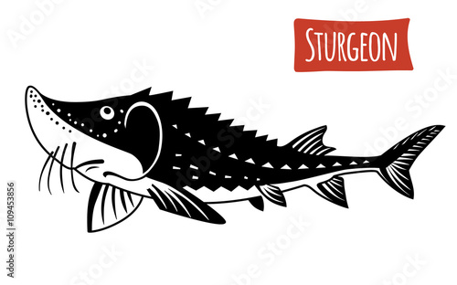 Sturgeon, vector cartoon illustration