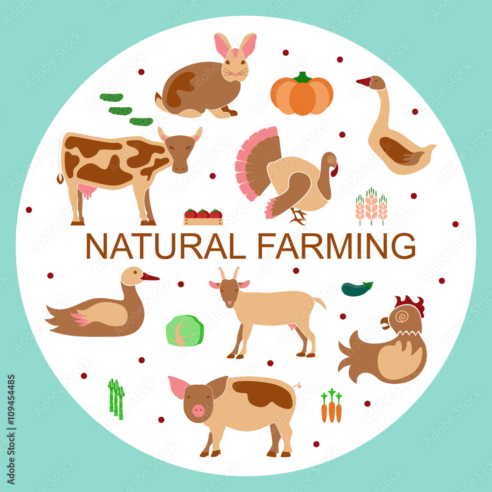Fototapeta premium 288_Set logotype eco farm
