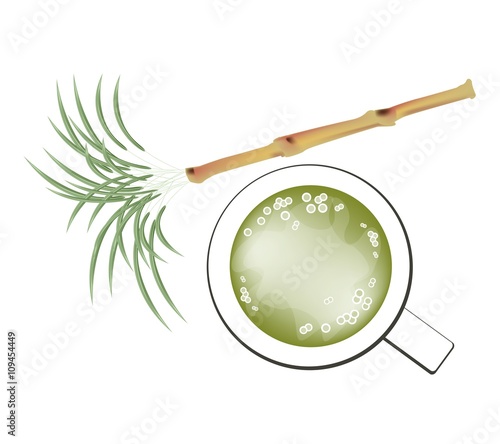 Fresh Sugarcane and Refreshing Sugar Cane Juice
