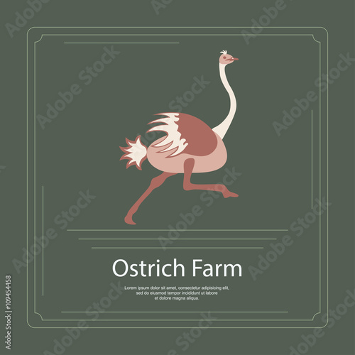 271_Logotype of ostrich farm