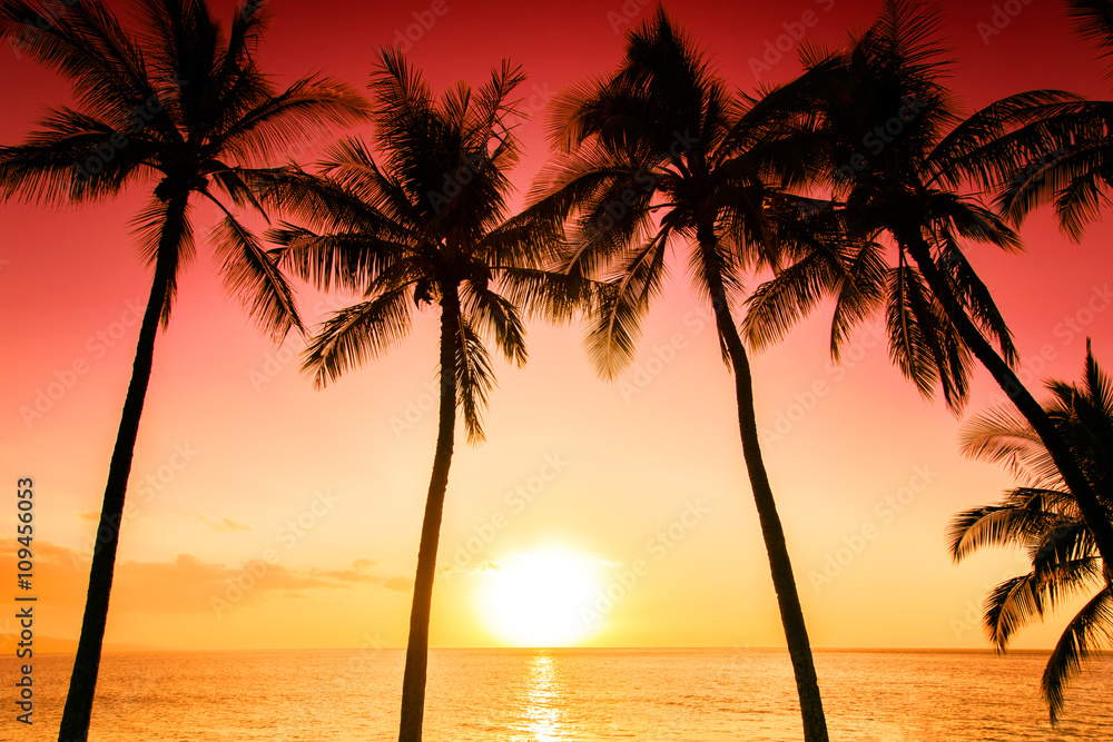 Obraz premium Tropikalny zachód słońca