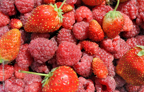 close-up of the fresh  wild strawberries,strawberries,  raspberr photo