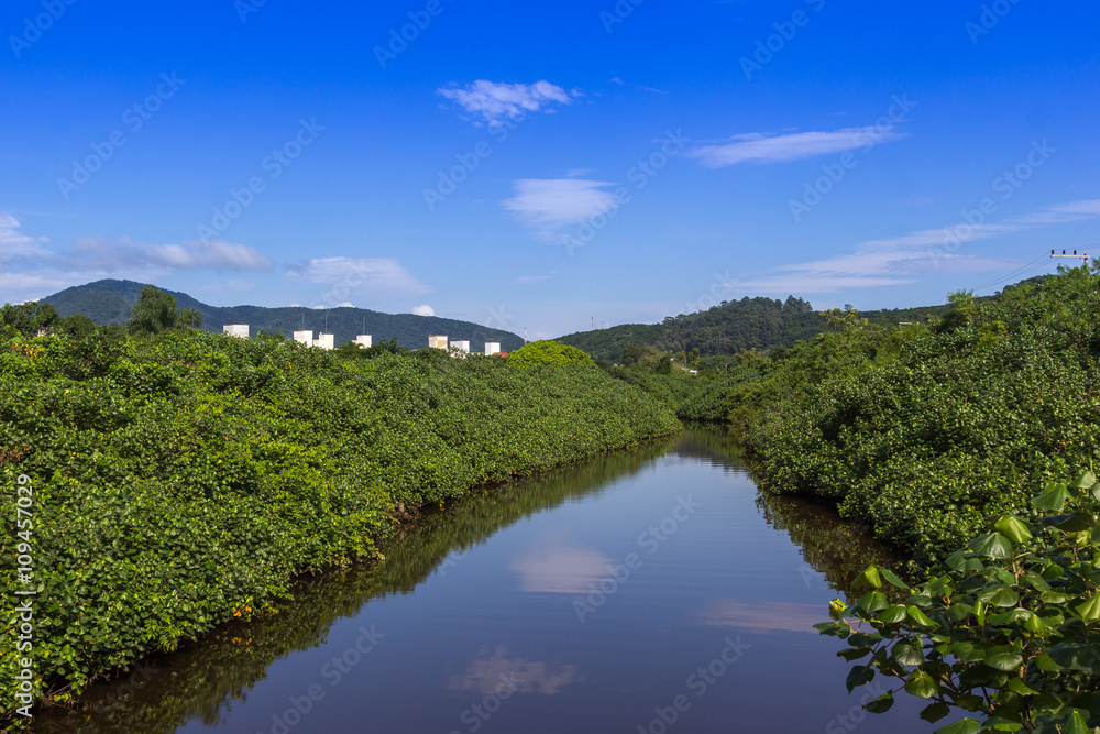 Rio com mata ciliar.