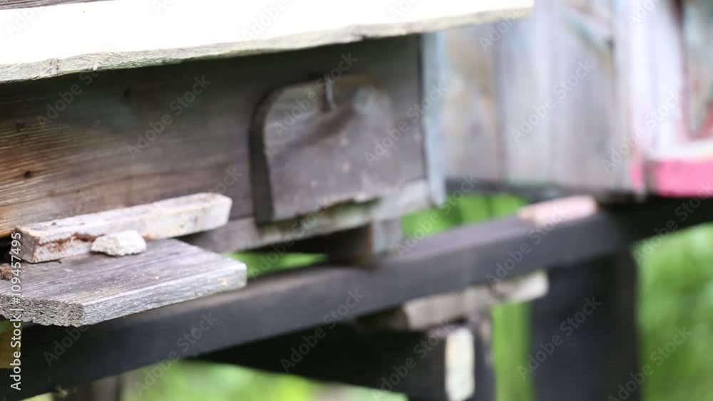 Bees and old beehives