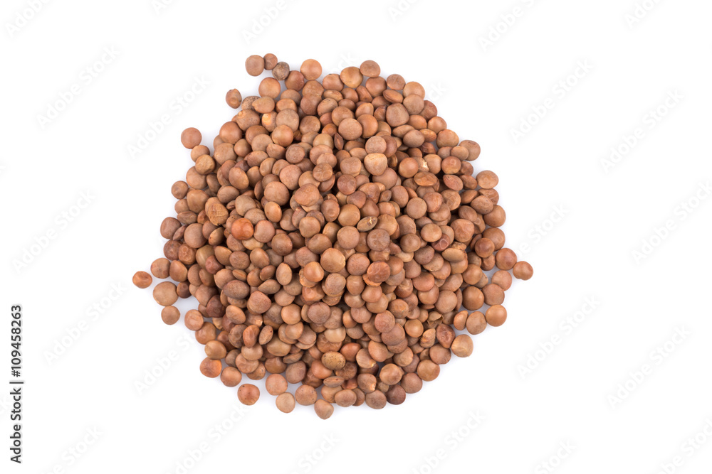 Lentils Isolated on White Background Lentils Isolated on White Background