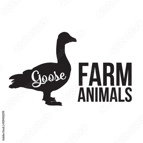 Grey goose, poultry, vector illustration sketch, farm feathered animal, one color and the beautiful goose on a yellow background
