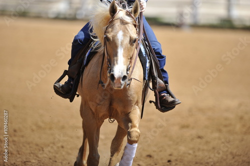 A front view of a rider and horse running ahead in the dust.