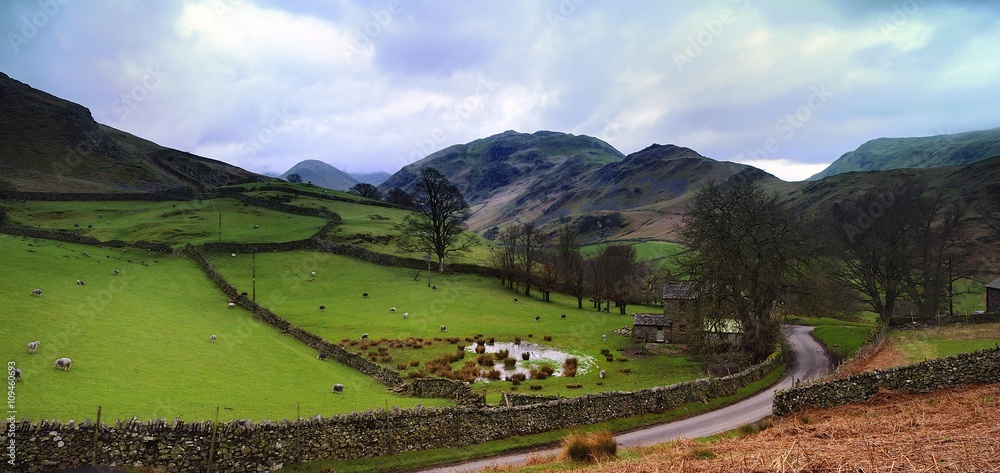 The hills of Martindale