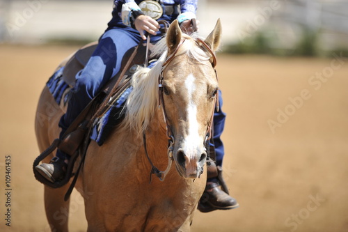 A front view of a rider and horse running ahead © PROMA