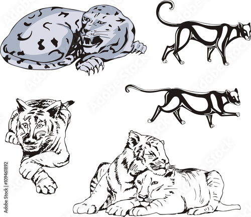 Wild Predator Cats Set