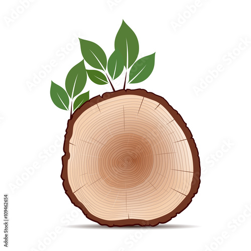 Rings of Tree and Green Leafs. Color Vector Illustration.