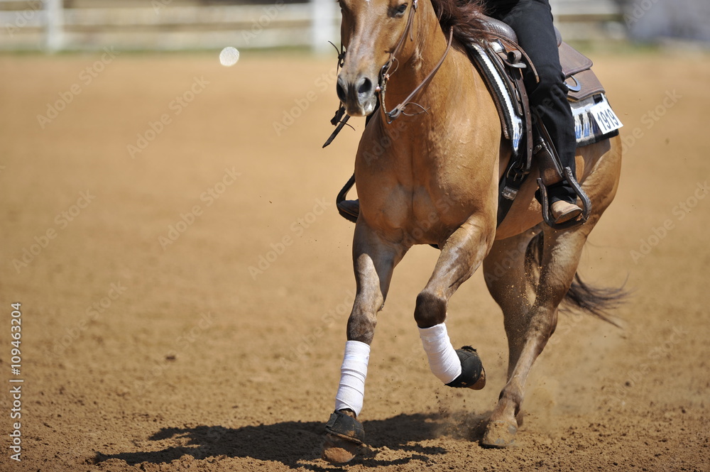 Obraz premium A front view of a rider and horse running ahead
