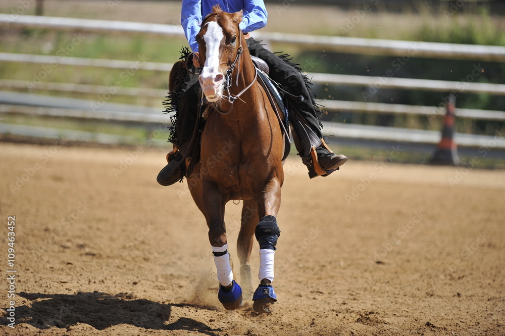 A front view of a rider and horse running ahead