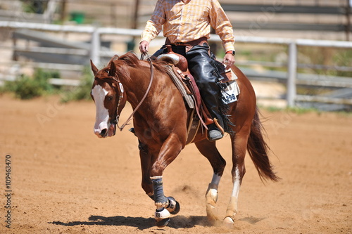 A front view of a rider and horse running ahead