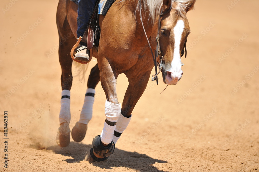 A front view of a rider and horse running ahead