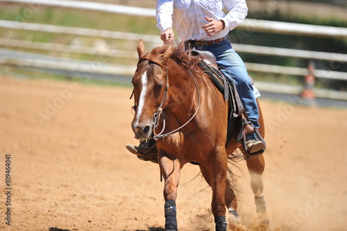 A front view of a rider and horse running ahead