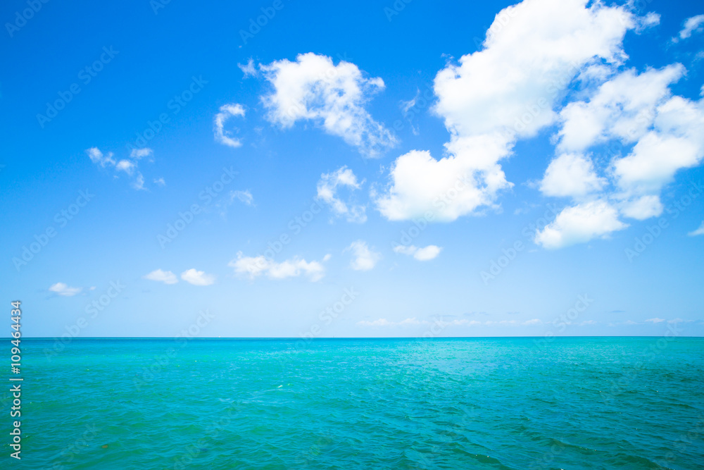 Fototapeta premium Beautiful tropical ocean and sky