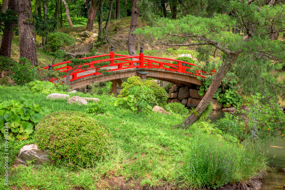 Beautiful Japanese garden with a red bridge