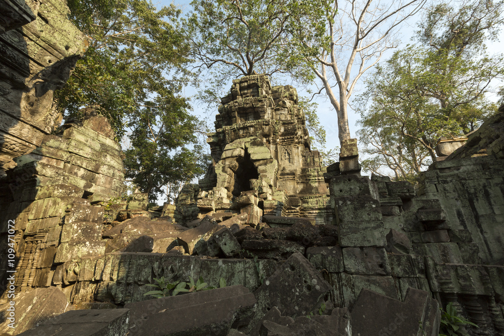 Tree on stone wall of Prasat Ta Prohm Temple in Angkor Thom