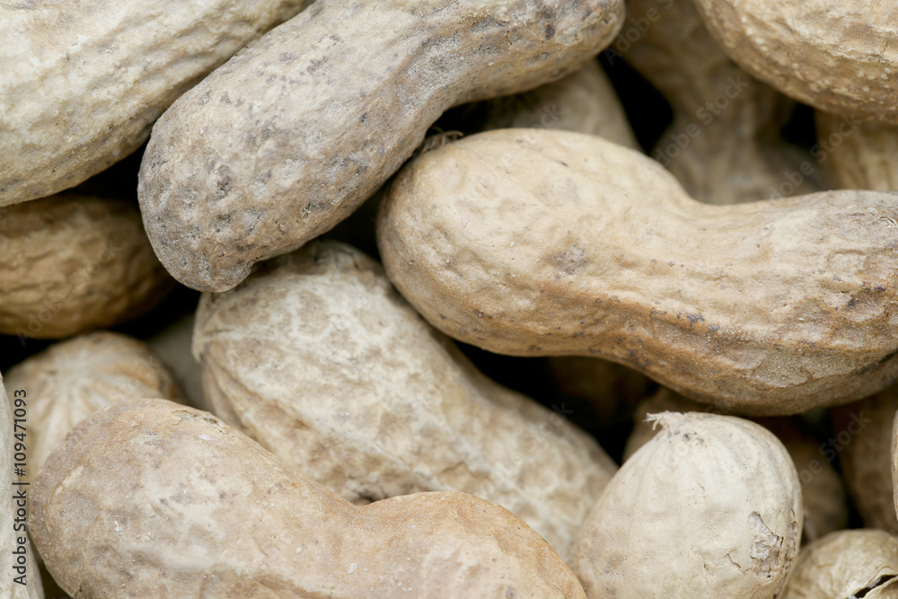 earthnuts earthnuts