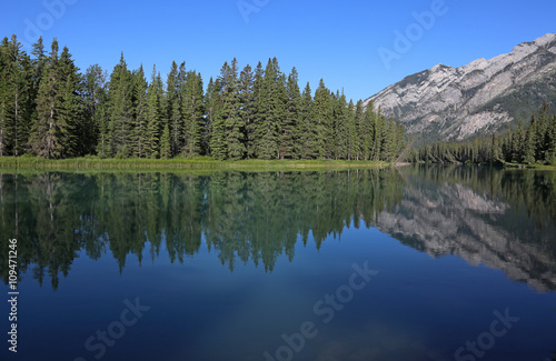 Mount Norquay reflecting in the Bow river. Shot in the Banff town site, in Banff National Park, Alberta, Canada..